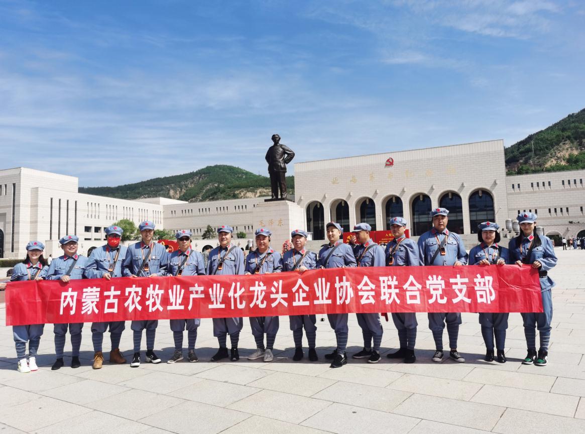 內(nèi)蒙古農(nóng)牧業(yè)產(chǎn)業(yè)化龍頭企業(yè)協(xié)會聯(lián)合黨支部赴延安革命圣地開展“學(xué)黨史、感黨恩、跟黨走”主題黨日活動