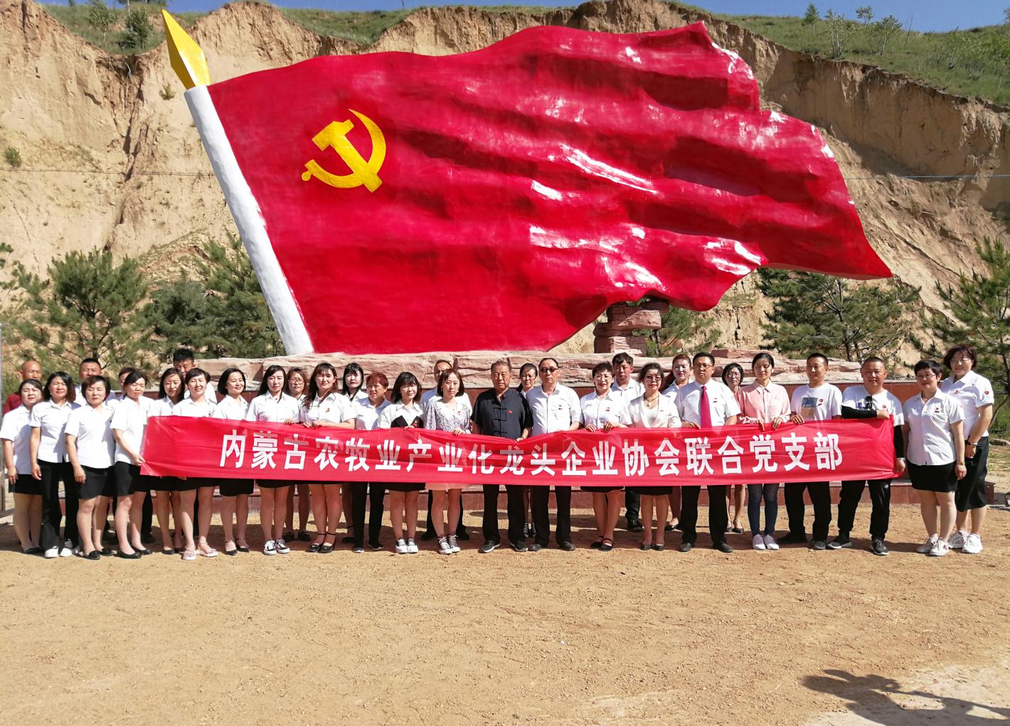 內(nèi)蒙古農(nóng)牧業(yè)產(chǎn)業(yè)化龍頭企業(yè)協(xié)會走進(jìn)石人灣村開展“辦實(shí)事、解難題，送溫暖，傳黨恩”公益活動